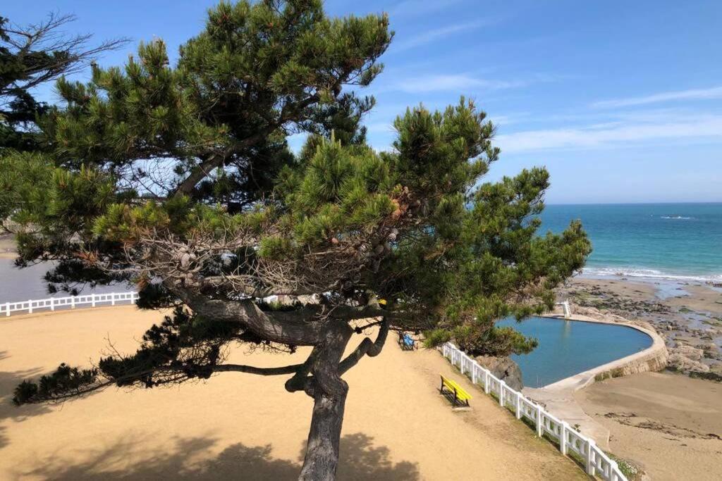 Belle Maison Neo-Bretonne A 5 Minutes De La Mer Tréveneuc Dış mekan fotoğraf